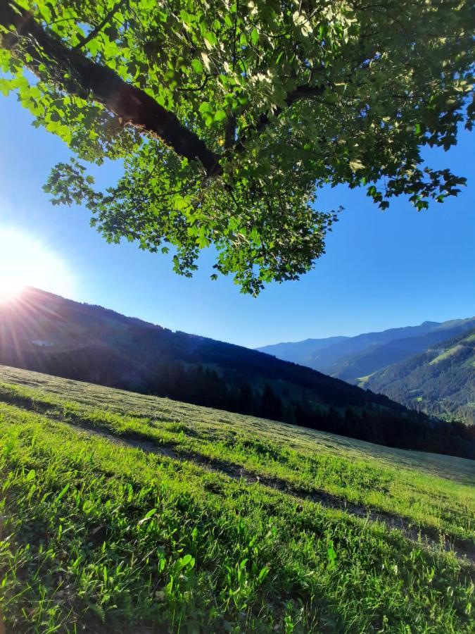 Pension Aberger Saalbach-Hinterglemm Exteriér fotografie